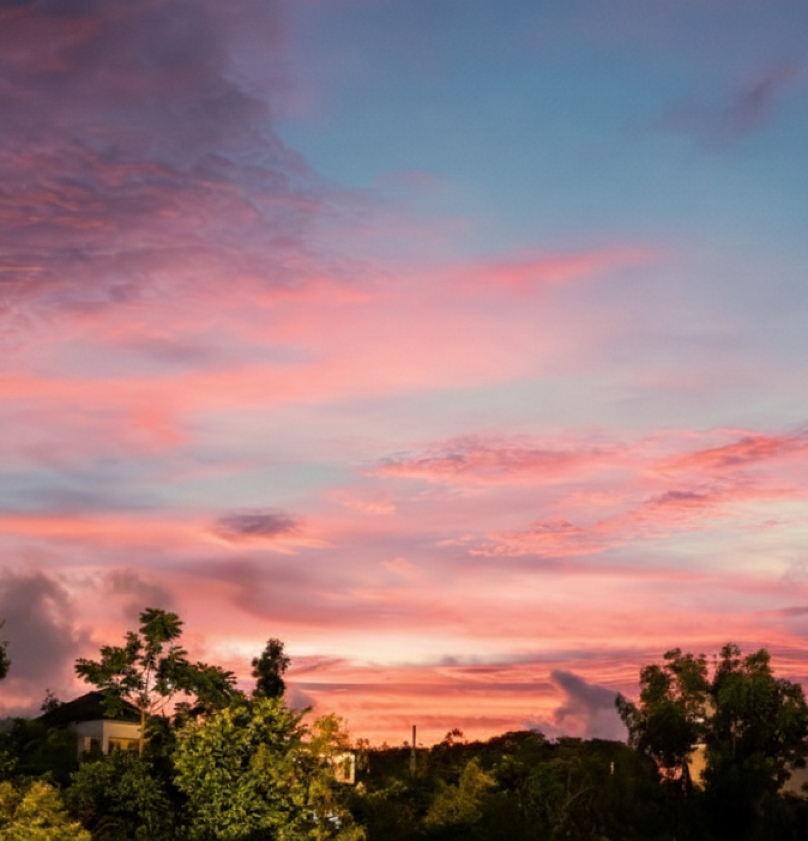 Gemini_Generated_Image_1p79r21p79r21p79